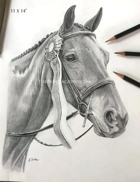 Custom Graphite Horse Head Study