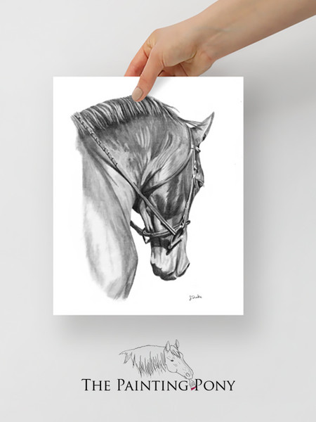 Horse Head Graphite Pencil Equestrian Fine Art Print