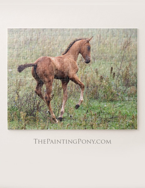 Young Akhal-teke Horse Foal Equestrian Jigsaw Puzzle