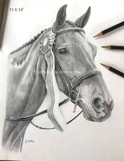 pencil drawing of horse head