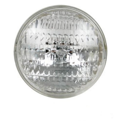 373662R1 | Sealed Beam Bulb (12 Volt) for Case®