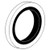 381907R1 | Seal, Differential Shaft Pinion Oil for Case®