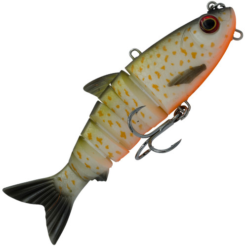 Colour BT Belly Trout