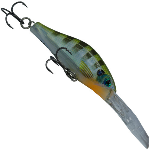Colour BG Blue Gill