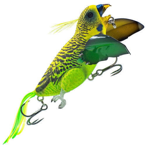 Colour 01 Budgie