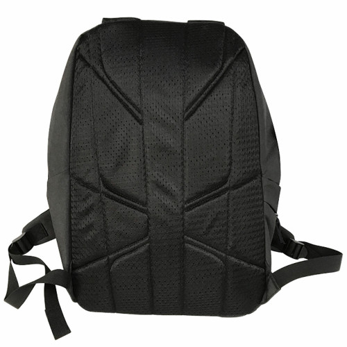 Back View
