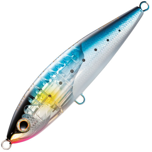 Sardine Ball Colour 001 Iwashi
