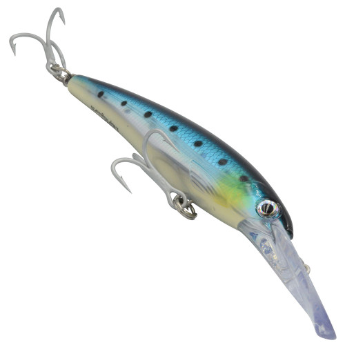 Colour BSRD Blue Sardine