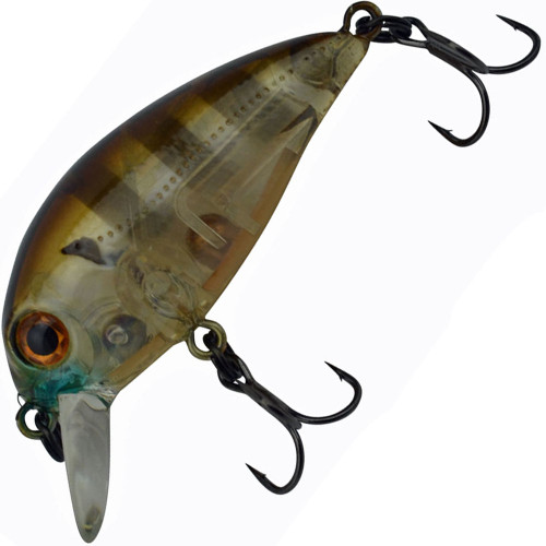 005 Ghost Gill Brown