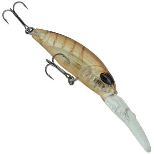 Crystal Prawn Colour