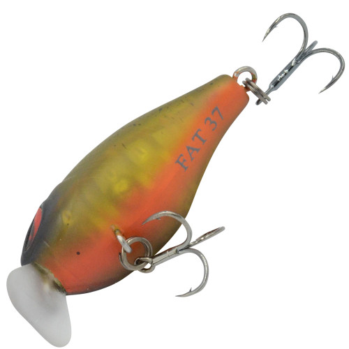 Hurricane Fat 37 Lures - Belly View