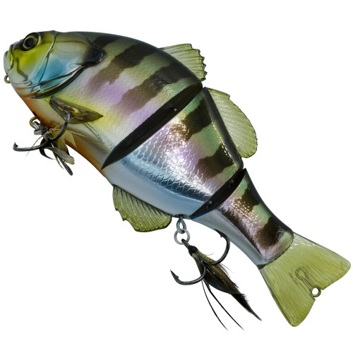 HL Blue Gilll Colour