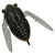 Atomic Cicada Fishing Lure Top View