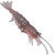 Bloodworm