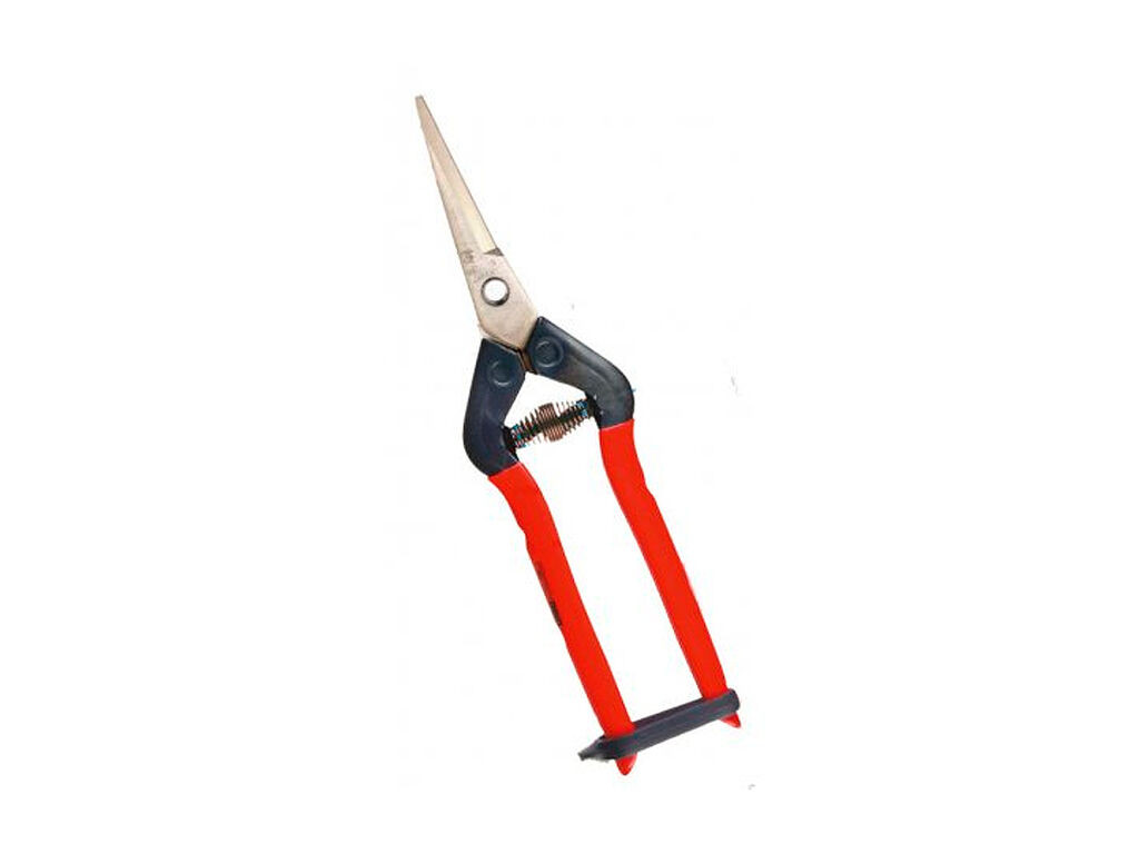 Tijera de raleo y cosecha Chikamasa T-55SC | Copeval