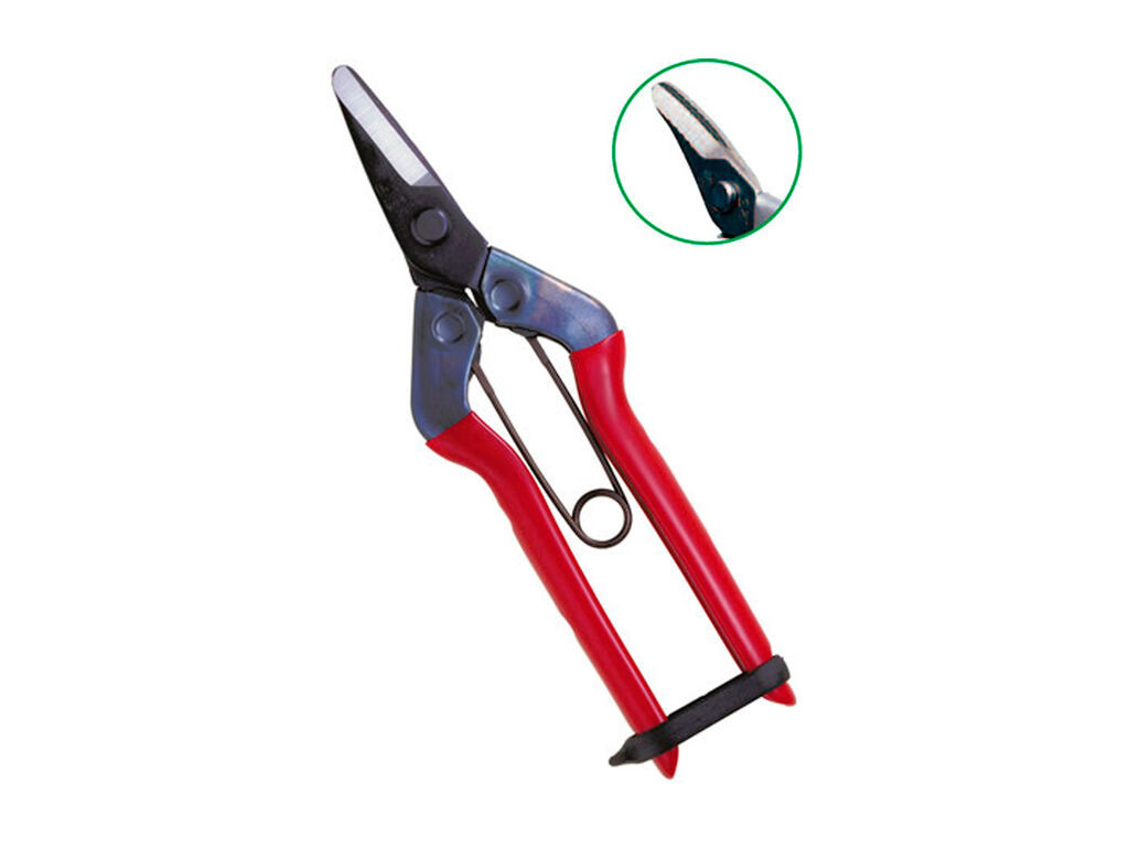 Tijera de cosecha Chikamasa S-600 - Copeval