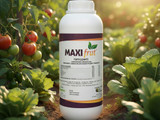 Bioestimulante de floración, cuaja y engorde - Maxifrut  1 l