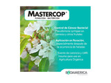 Fungicida Bactericida Bioamerica Mastercop 1L - Cobre Líquido