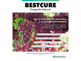 Bioestimulante Bioamerica Bestcure 5 l