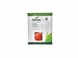Semilla de tomate SEMINIS Argos de alto rendimiento - 1000 semillas