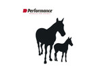 Alimento para caballos Performance Crianza - 25 kg