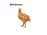 Alimento Molido Champion Performance Starter Pollita Inicial - 25 kg