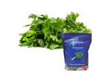 Semillas Anasac de Cilantro Santo x 1 Kg