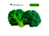 Semillas de Brocoli Imperial x 10.000 Sem