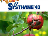 Fungicida Anasac Systhane 40 WP x 0,25 Kg