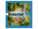 Biofungicida Anasac Botector WG 1 kg para proteger la sanidad y calidad de los cultivos