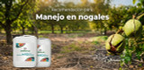 Manejo de la maduración en nogales
