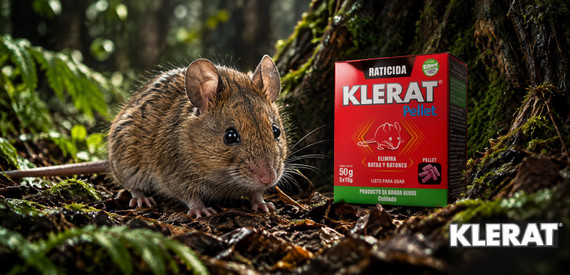 Hantavirus en Chile: medidas de prevención para evitar riesgos