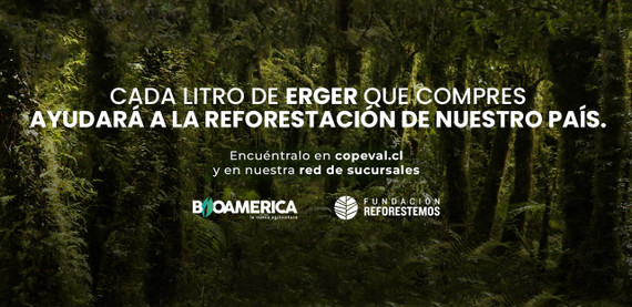 Reforestación en Chile: tu decisión con ERGER impacta más allá del huerto
