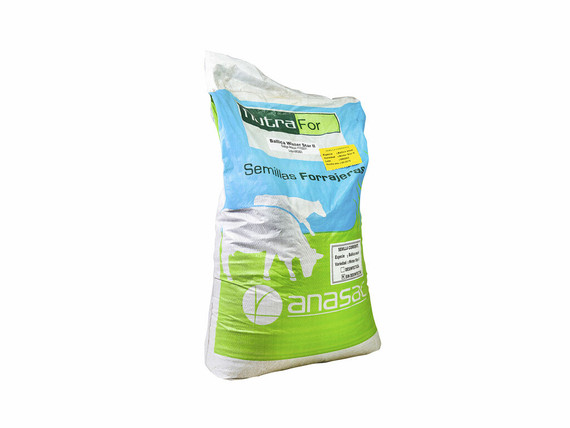 Semillas ANASAC Ballica Winter Star II 25 kg