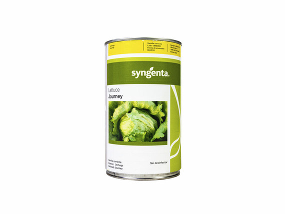 Semillas SYNGENTA Lechuga Journey x 25000 semillas variedad resistente