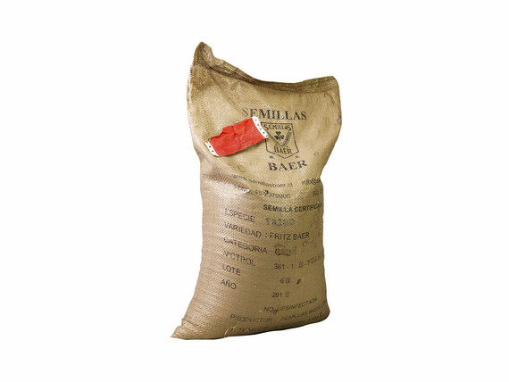 Semillas SEMILLAS BAER Trigo Fritz 25 kg Semillas SEMILLAS BAER Trigo Fritz 25 kg
