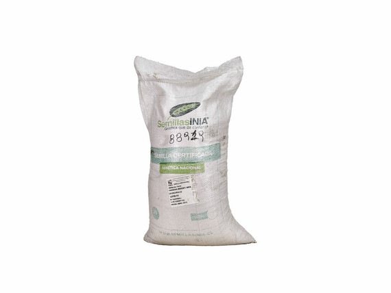 Semillas SEMILLAS INIA Trigo Rocky-INIA 25 kg