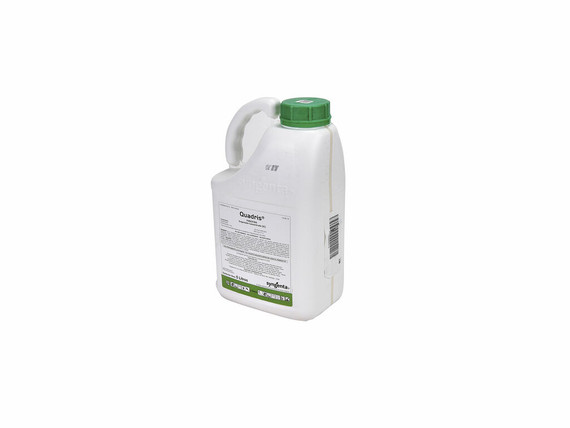 Fungicida Syngenta Quadris de 5 litros para control de hongos