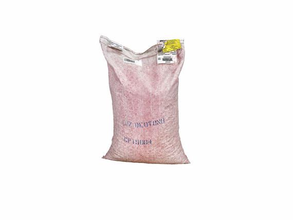 Semilla de Haba blanca SEMILLAS AGRICAL Luz de otoño - Saco 25 kg