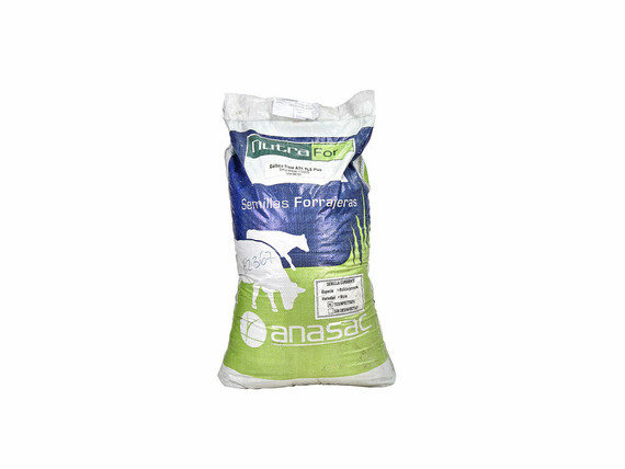 Semillas ANASAC Ballica Base AR1 - Saco 25 kg