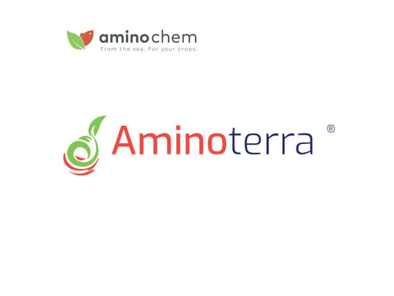 Bioestimulante Aminochem Aminoterra 1000 l