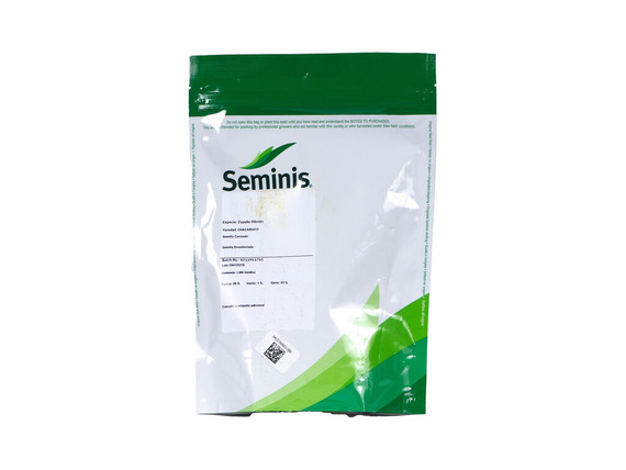 Semilla Zapallito Chacabuco - 1000 semillas