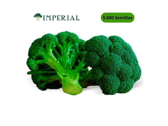 Semillas de Brocoli Imperial x 5.000 Sem