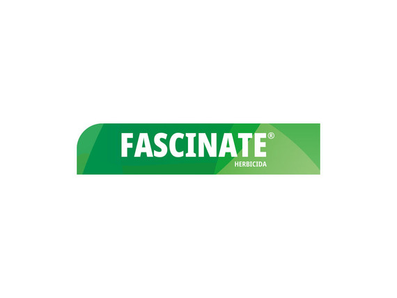 Herbicida Fascinate 150 SL - 20 l