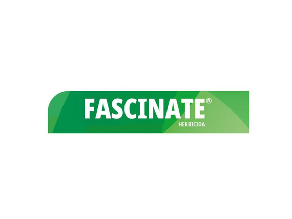 Herbicida UPL Fascinate 150 SL - 5 litros