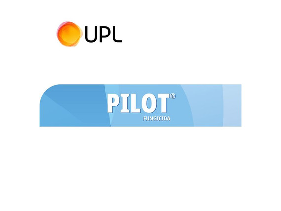 Fungicida Fitorregulador UPL Pilot EC x 1 Lt