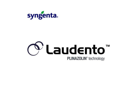 Insecticida Syngenta Laudento 200 SC 1 L para el control eficaz de ácaros e insectos
