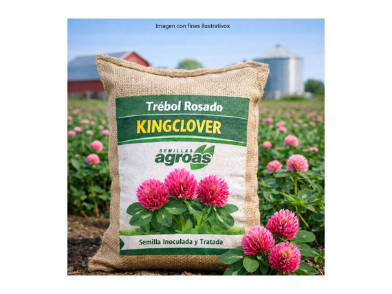 Semillas Trebol Rosado Kingclover Agroas x 25 kg