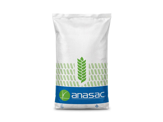 Trigo Queltehue C2 TLS - 25 kg