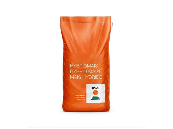 Semillas de maíz KWS Inteligens Poncho - bolsa de 50.000 semillas